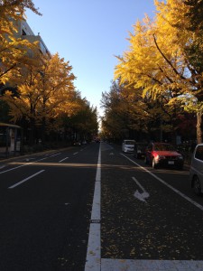 2013-11-23 14.51.21-2