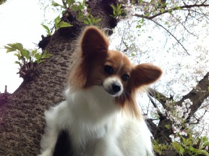 2014-04-05 16.08.48-1