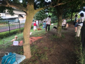 2015-09-05 16.57.55 HDR