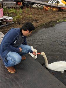 20161029_023137040_ios