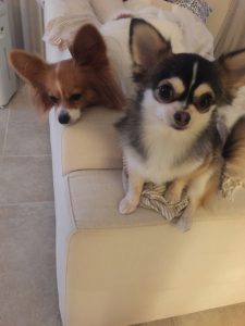 20161029_220022510_ios