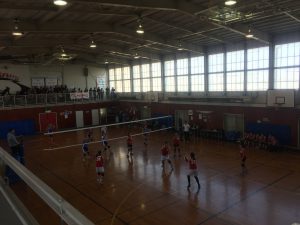 20161105_020126519_ios